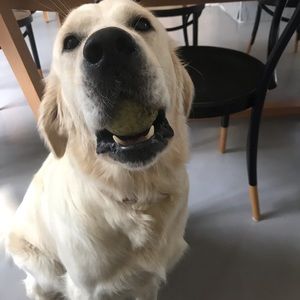 Meet your Posher, Lina